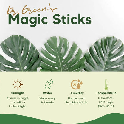 Dr.Green™ - Magic Plant Sticks Fertilizer