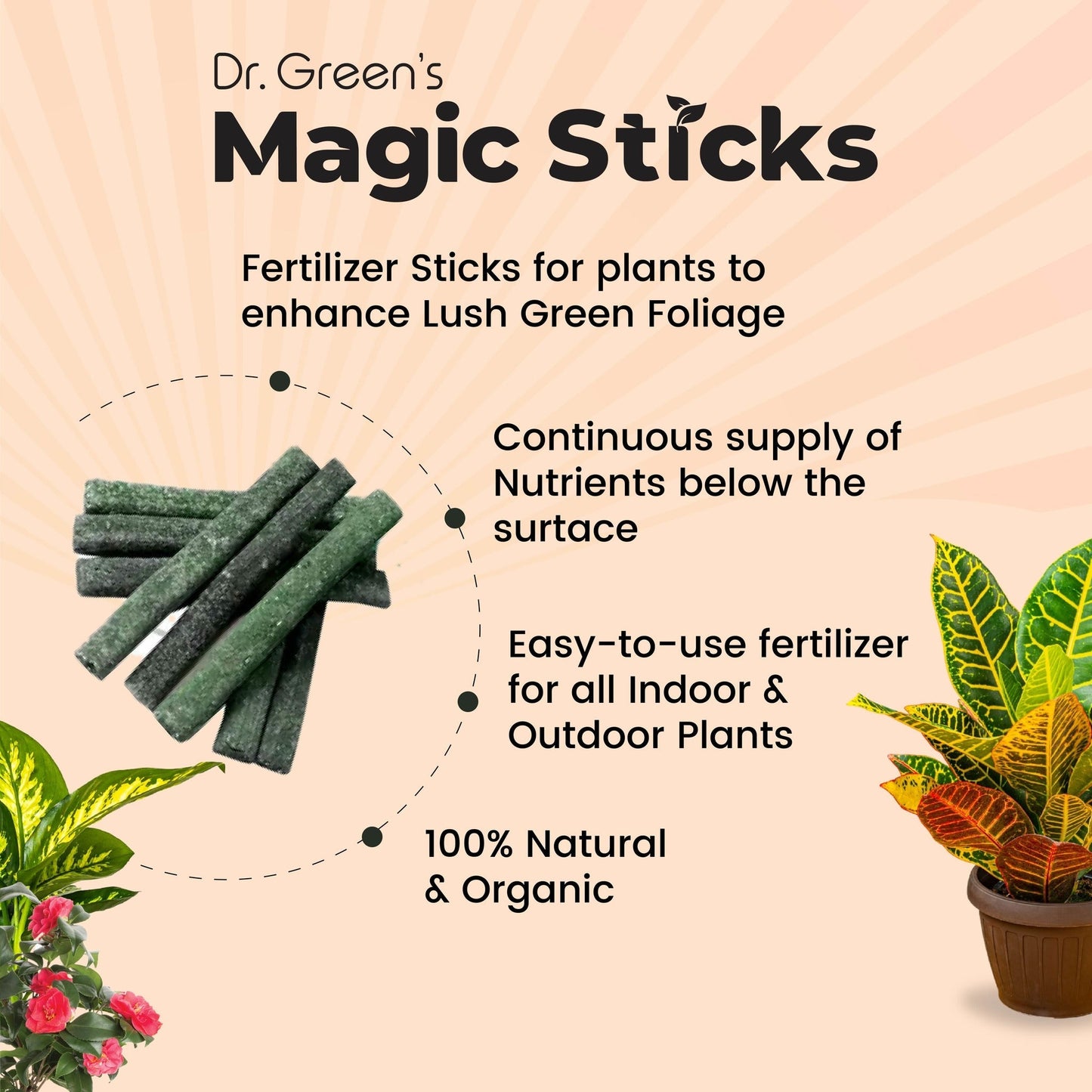 Dr.Green™ - Magic Plant Sticks Fertilizer