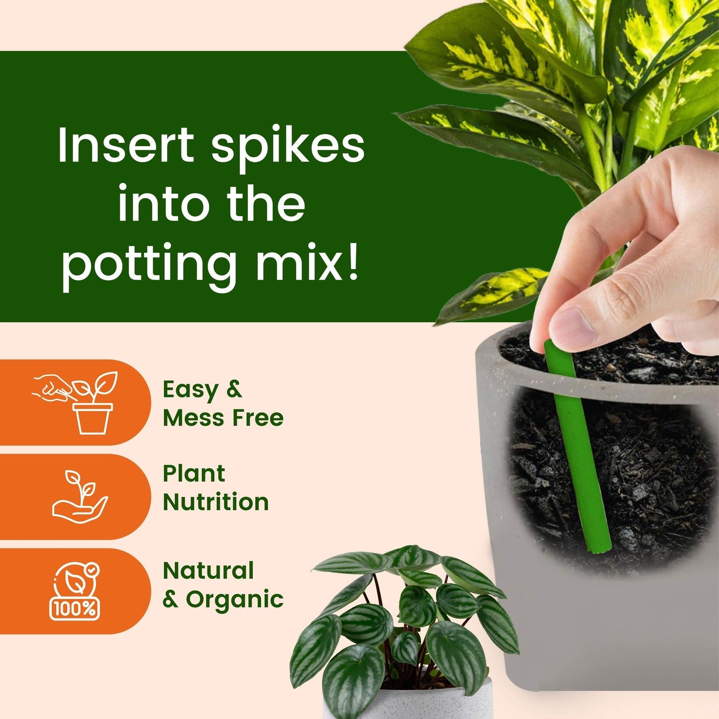 Dr.Green™ - Magic Plant Sticks Fertilizer